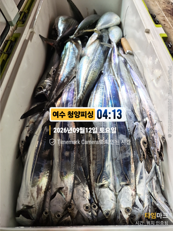 2026-09-12 04.13.25__(제목-여수 청양피싱).jpg
