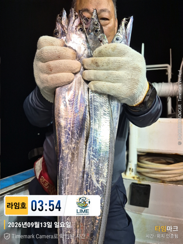 KakaoTalk_20260913_172123987.jpg