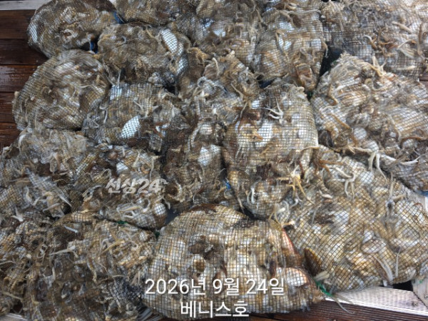 KakaoTalk_20260924_184035599_01.jpg