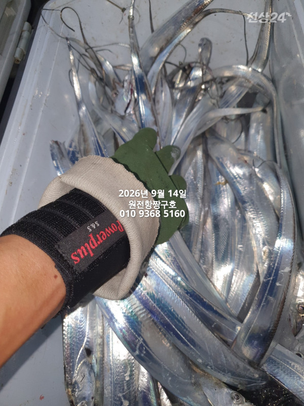 KakaoTalk_20260914_114003950_22.jpg