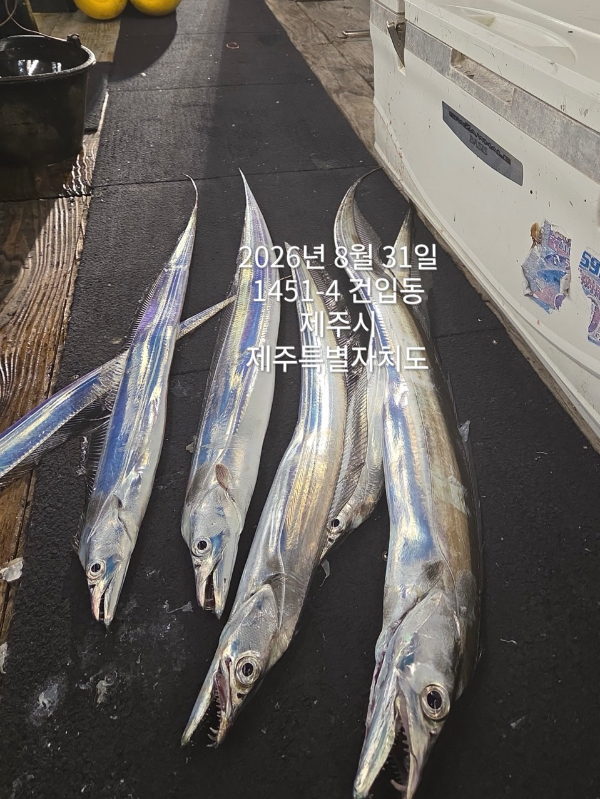 19466364-FE75-45DF-9C35-ADA73583AC2C.jpeg