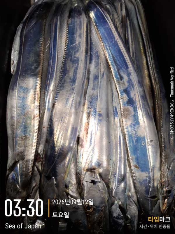 2026-09-12 03.30.15_Japan.jpg