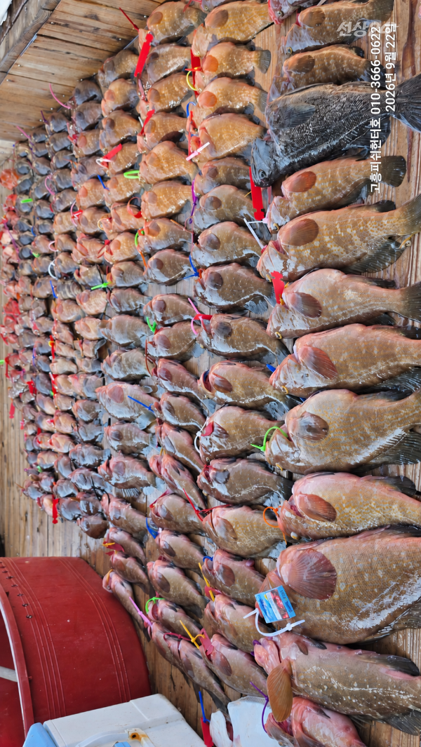 30043.png