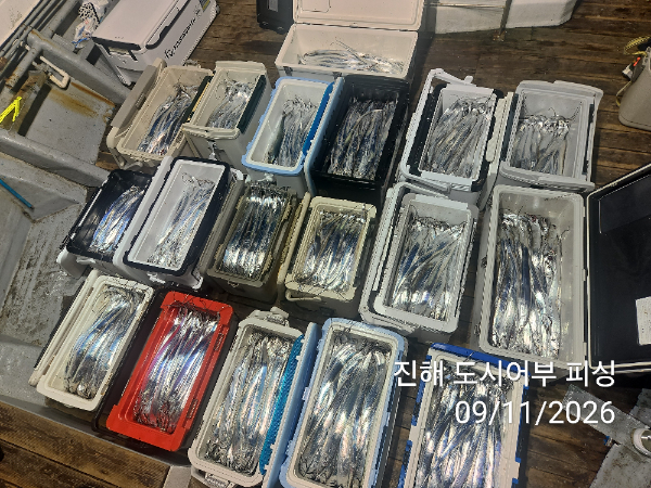 KakaoTalk_20260911_050759490_08.jpg