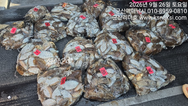 KakaoTalk_20260926_154649041_02.jpg