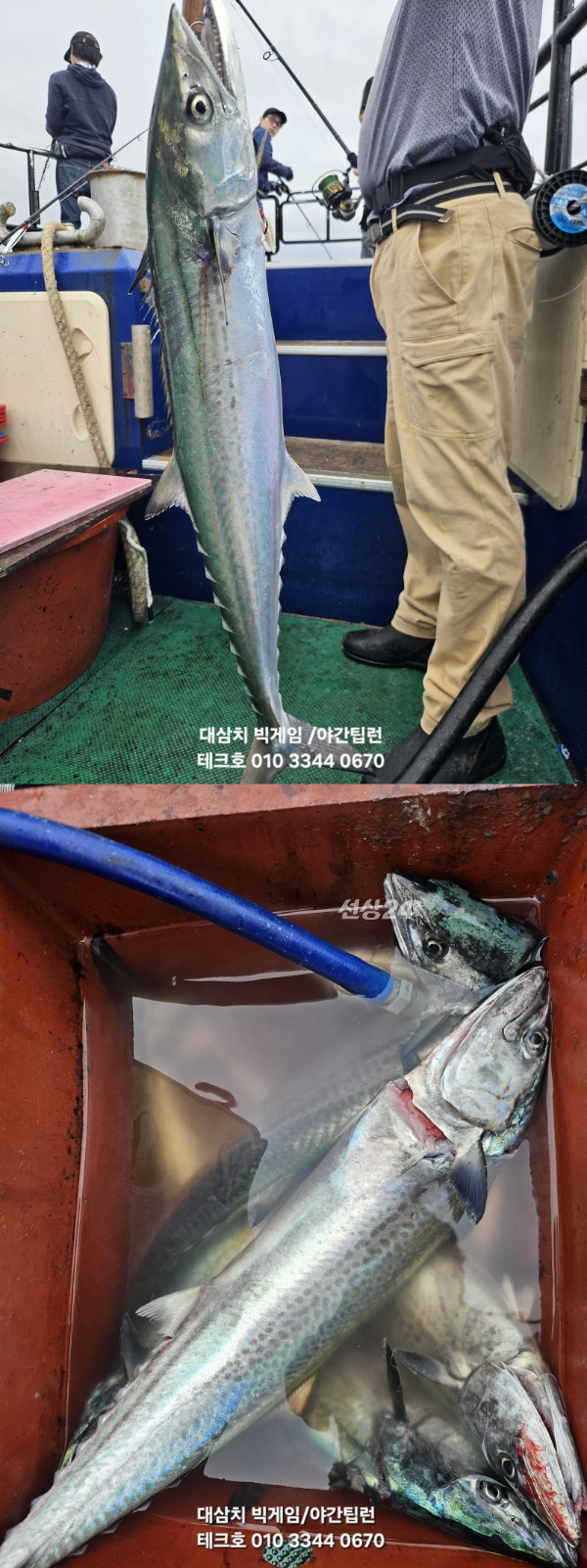 KakaoTalk_20260926_165112542_07-vert.jpg