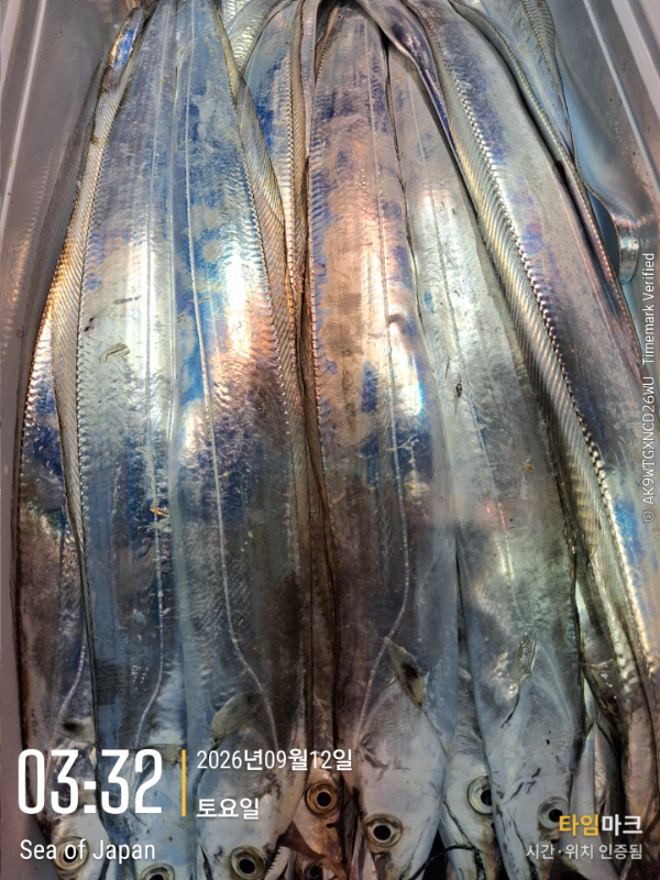 2026-09-12 03.32.21_Japan.jpg