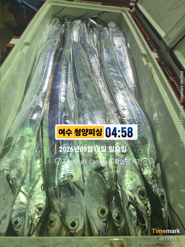 2026-09-13 04.58.48__(제목-여수 청양피싱).jpg