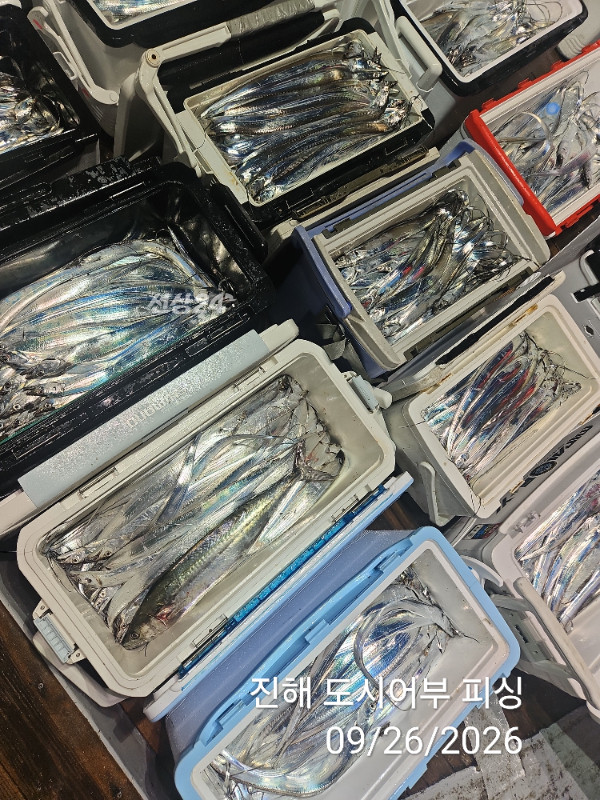 KakaoTalk_20260926_044028225_13.jpg