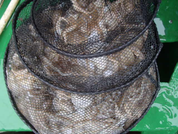 P9010033.JPG