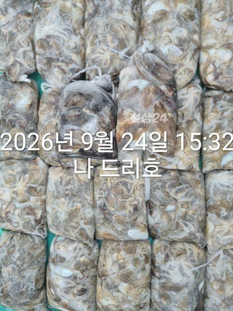 KakaoTalk_20260924_161734361.jpg