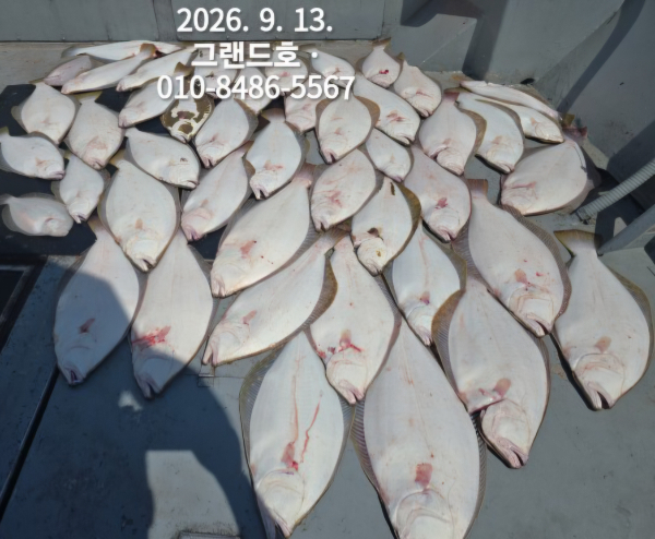 1000035084.jpg