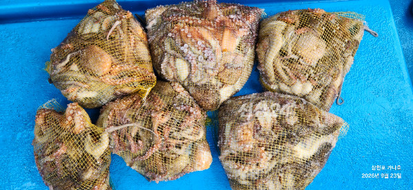 3559.jpg