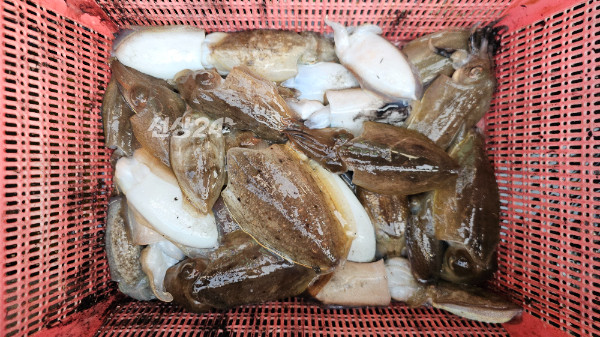 KakaoTalk_20260927_192422085_05.jpg