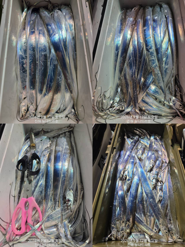 낱1.jpg