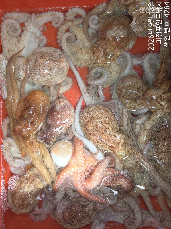 KakaoTalk_20260920_143922145_07.jpg