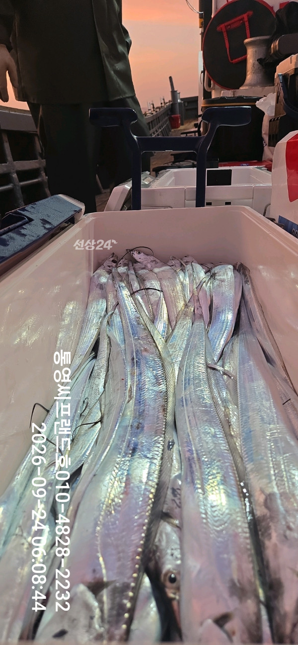 1790204148581.jpg