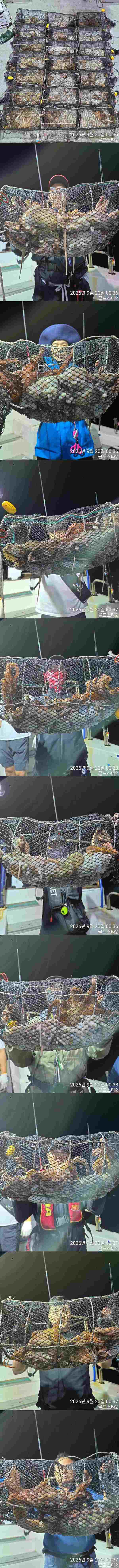 [포맷변환]z.jpg
