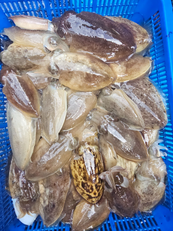 KakaoTalk_20260912_180328813.jpg