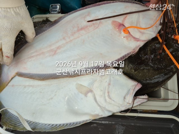 KakaoTalk_20260917_160219123_02.jpg