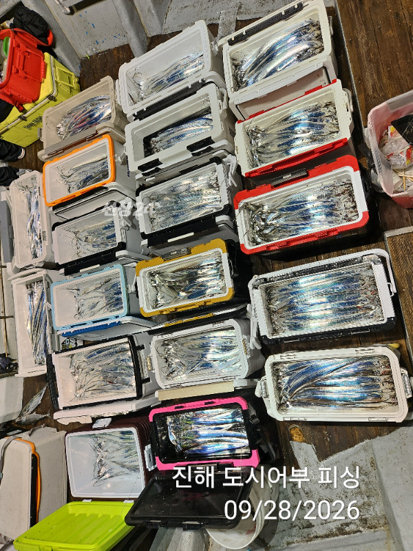 KakaoTalk_20260928_054654622_11.jpg