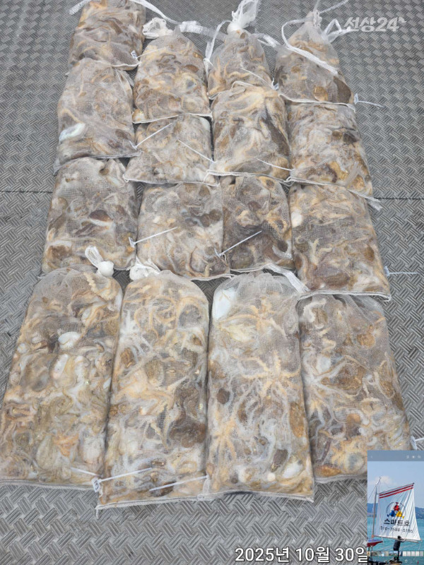 1000037610.jpg
