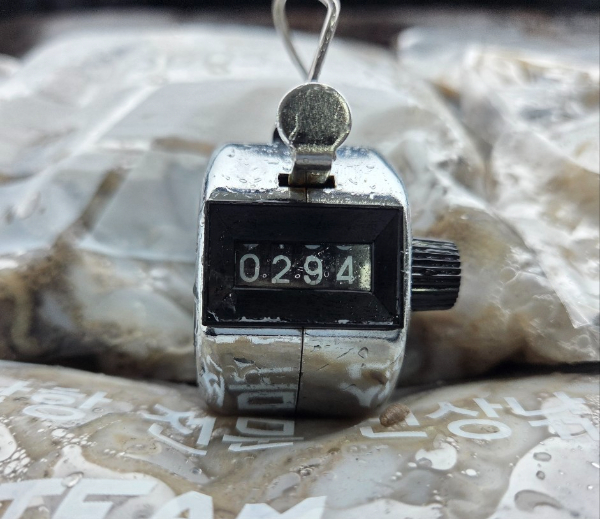 21905.jpg