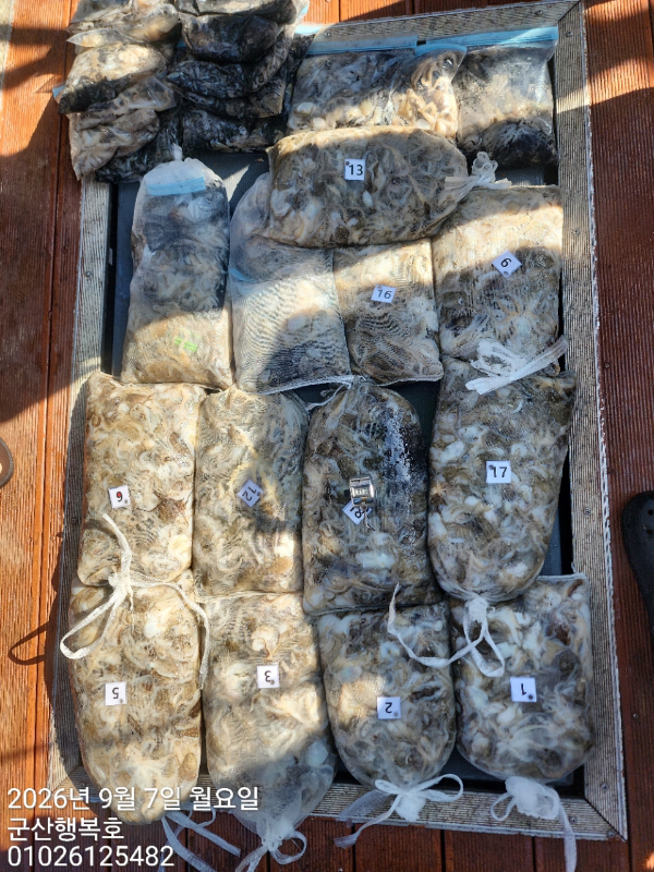 군산행복호_사진_20260907_8.jpg