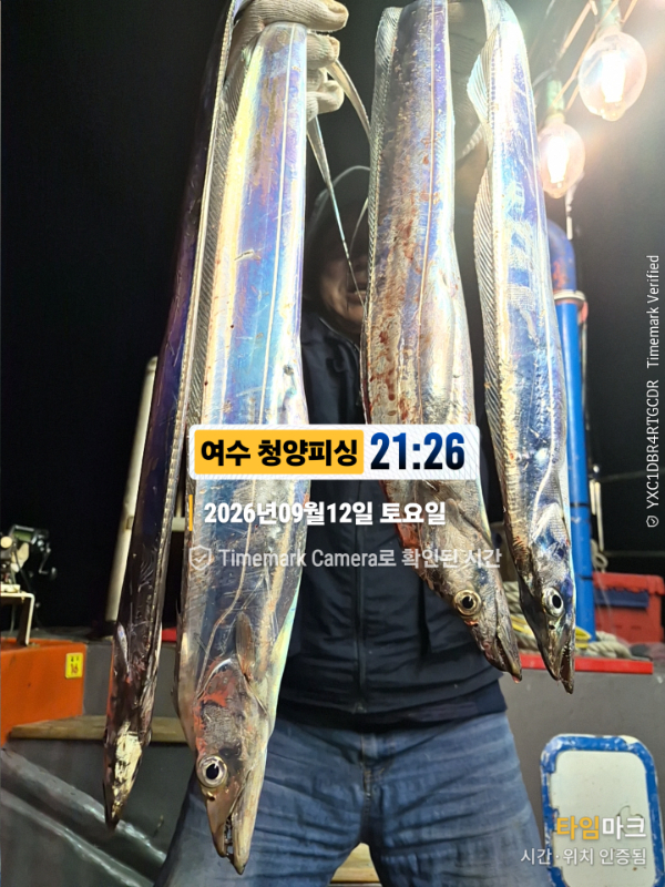 2026-09-12 21.26.30__(제목-여수 청양피싱).jpg