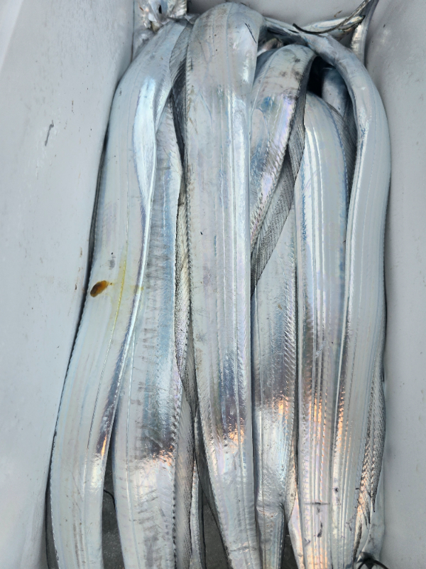 1000045314.jpg