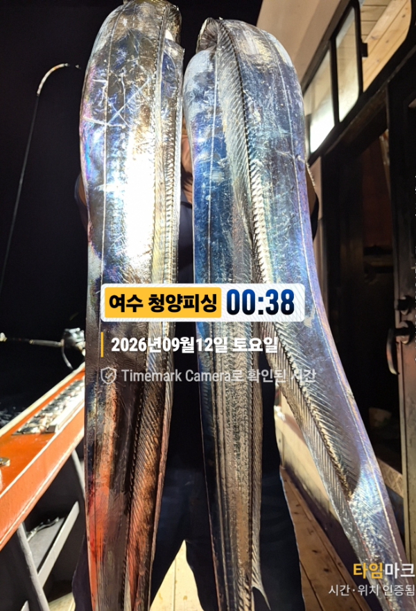 2026-09-12 00.38.24__(제목-여수 청양피싱).jpg