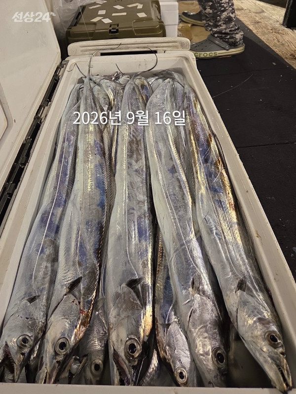 CF195509-BD7A-4FDA-AE52-D95A5EA6CAAF.jpeg
