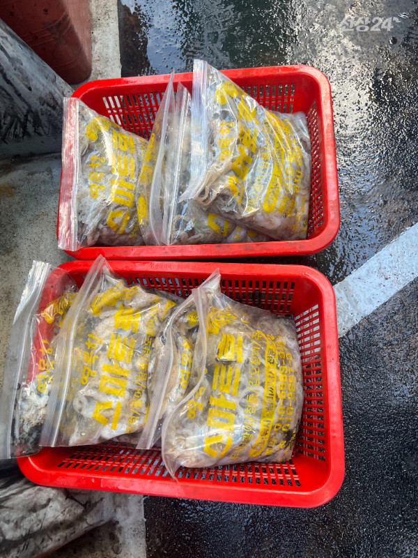 KakaoTalk_20260919_185749817_02.jpg