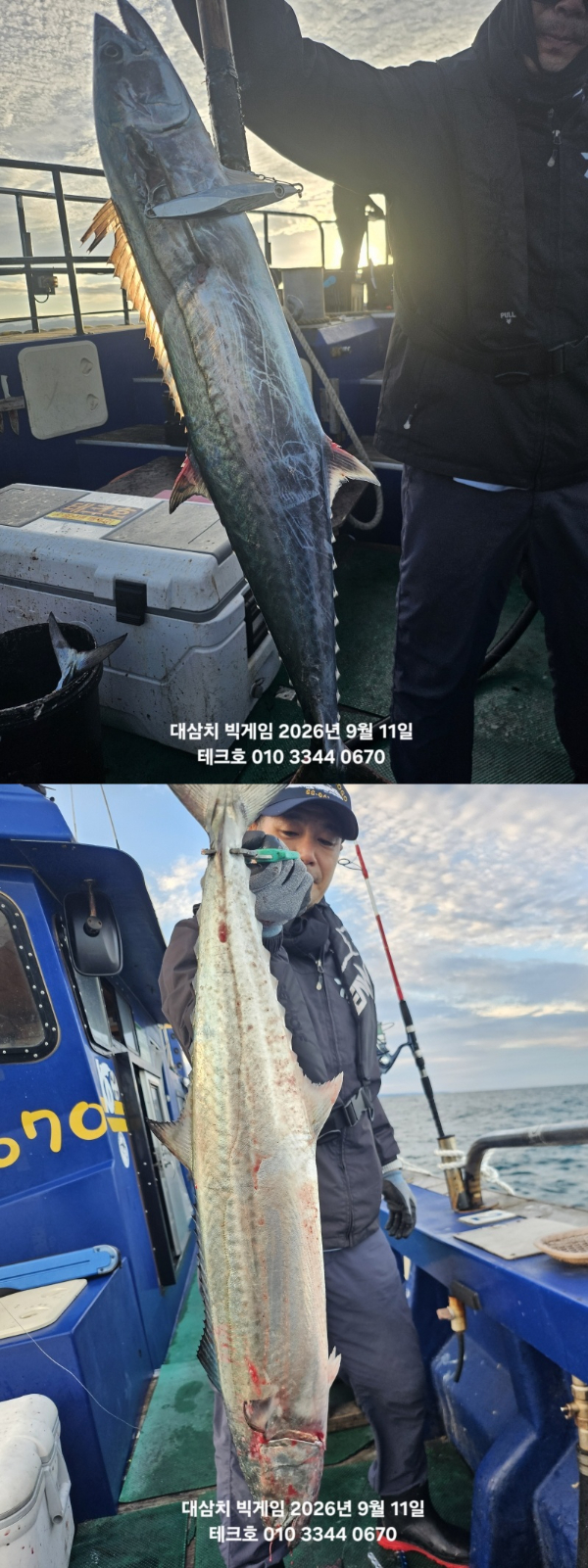 KakaoTalk_20260911_182152232_01-vert.jpg