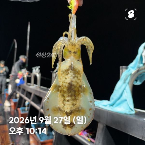 신신낚시 강구점 신신호_사진_20260928_7.jpg
