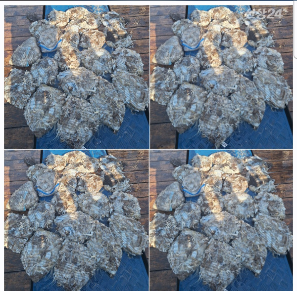 1000081212.jpg