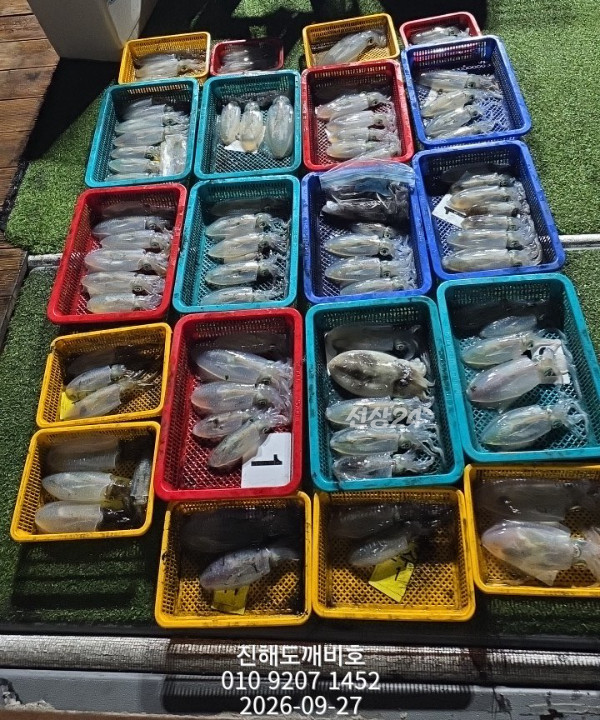 8497.jpg