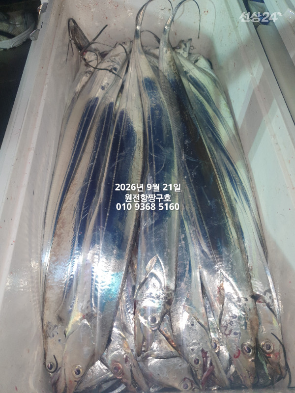 KakaoTalk_20260921_042933087_10.jpg