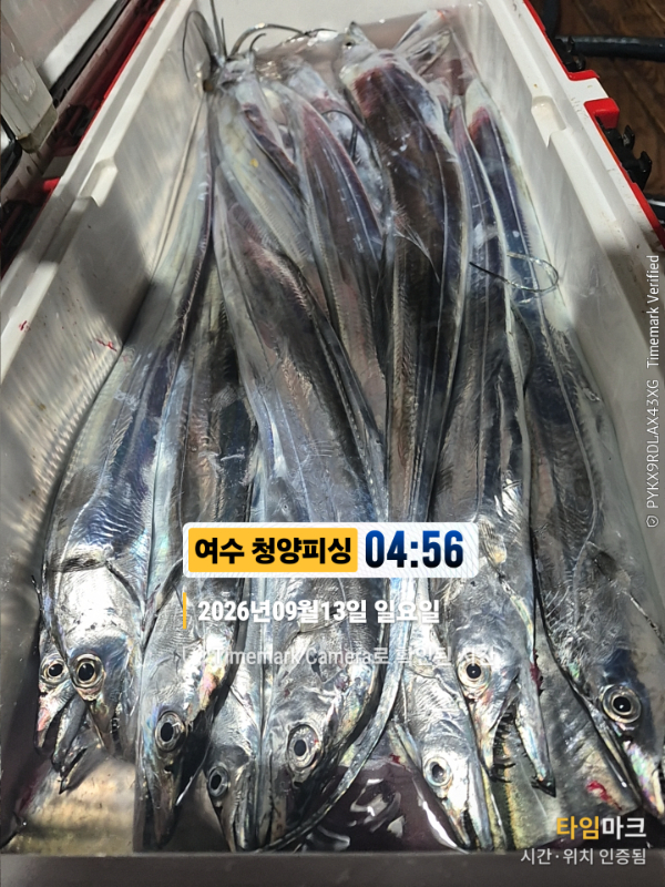 2026-09-13 04.56.01__(제목-여수 청양피싱).jpg