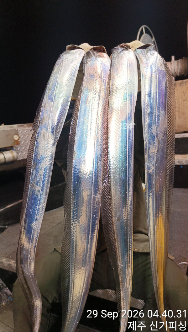 KakaoTalk_20260930_194546458_08.jpg