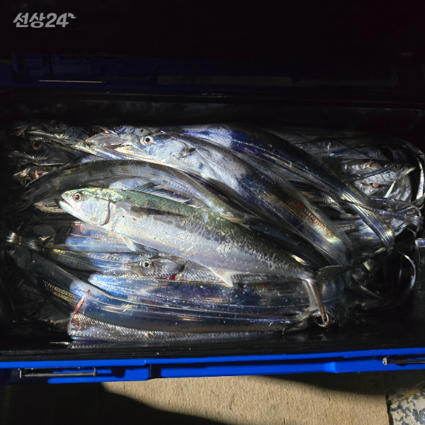 KakaoTalk_20260919_055024587_17.jpg