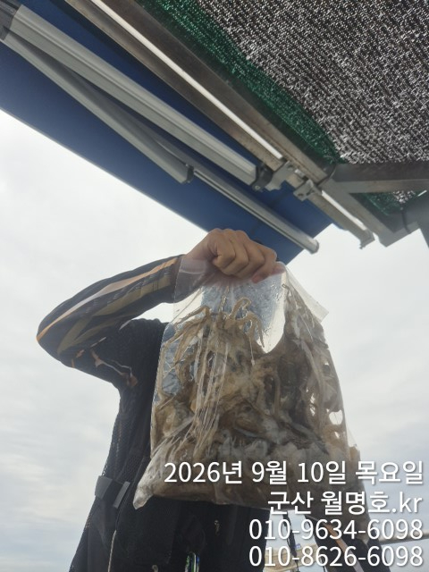 15025.jpg