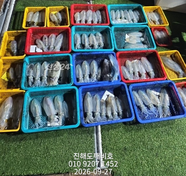 8496.jpg