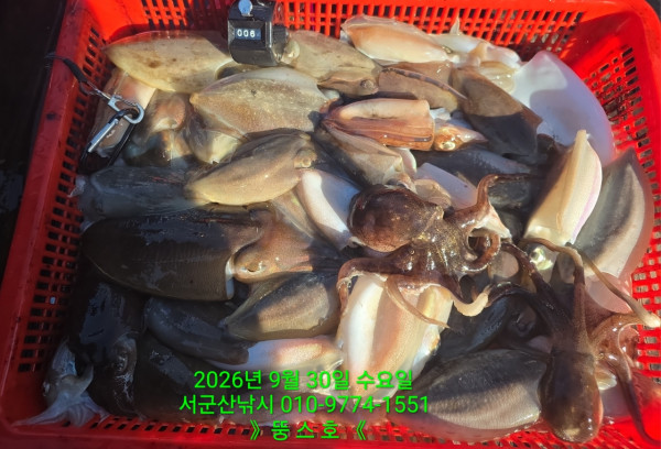군산 선상낚시, 바다낚시 출조 전문 ☆서군산낚시☆_사진_20260930_3.jpg