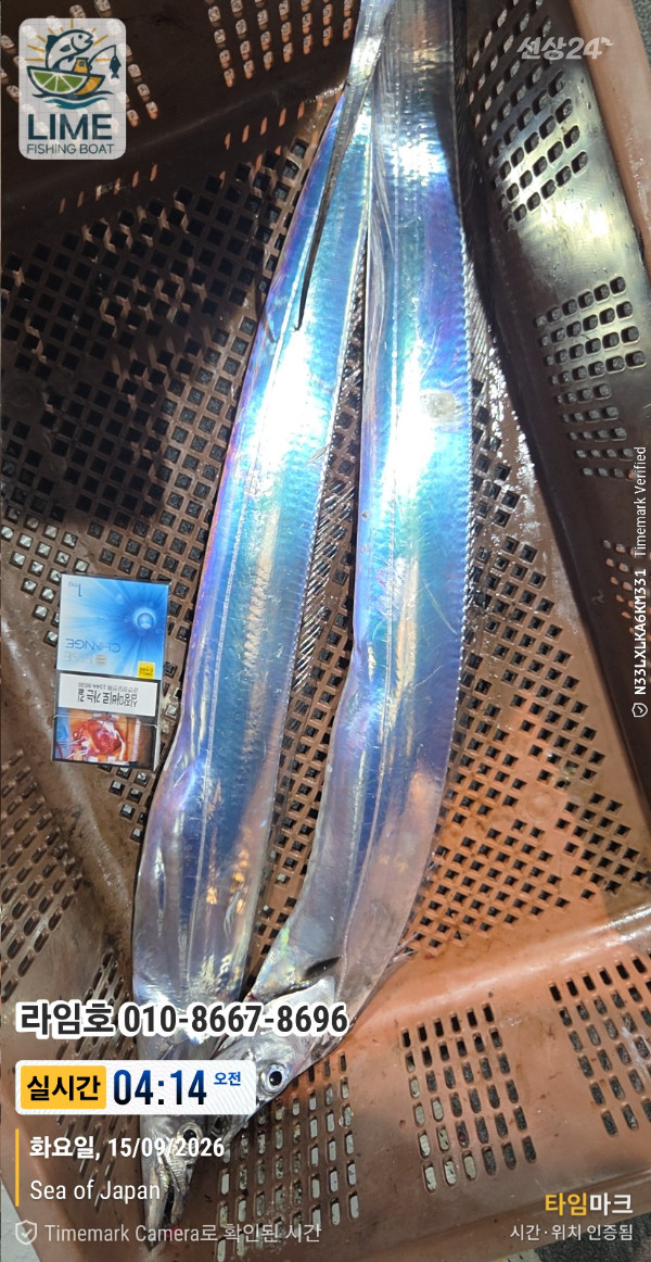 KakaoTalk_20260915_093243157_03.jpg