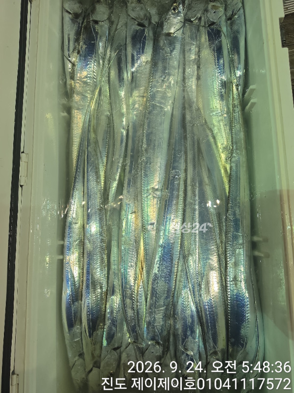 1000055598.jpg