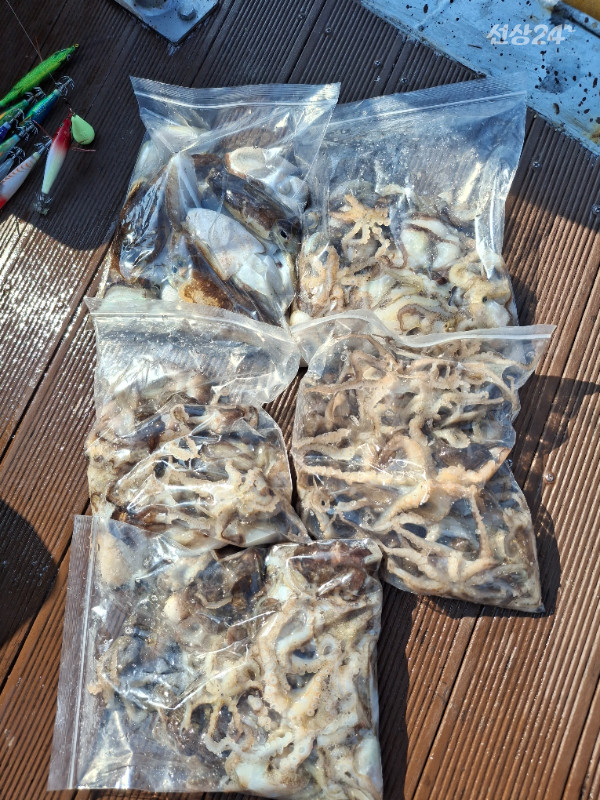 1000011729.jpg