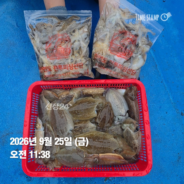 KakaoTalk_20260925_210425992_03.jpg