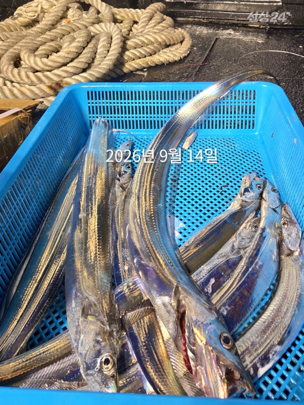 81FDD4FE-B60F-45F6-80AD-00E0EB826AD7.jpeg