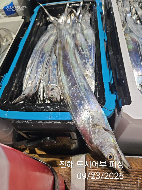 KakaoTalk_20260923_062051575_12.jpg